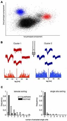 The Impact of Anesthetic State on Spike-Sorting Success in the Cortex: A Comparison of Ketamine and Urethane Anesthesia